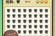 《汉字找茬王》攻略解析（20个隐藏字一览无遗，让你成为找茬达人！）